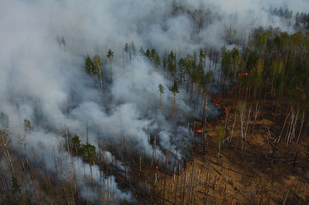 Почему после пожаров. Пожар в лесу. Природные пожары. Лесные и торфяные пожары. Лесной пожар дым.